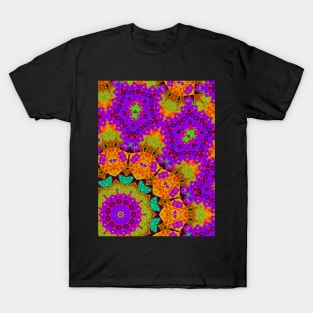 Shamanic psychedelic kaleidoscope T-Shirt